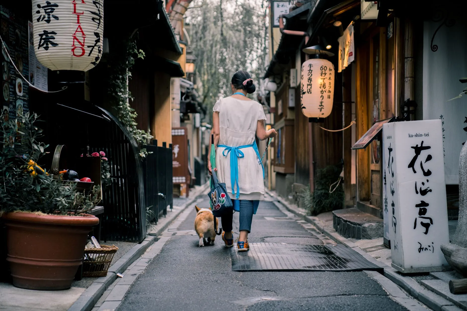 Kyoto, Japonya