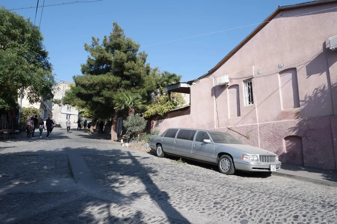 Dolu Dolu Gürcistan Turu Batum ve Tiflis Rotası V3