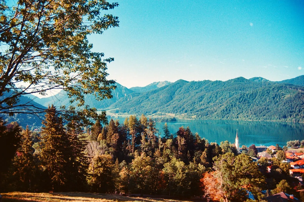 İlgili görsel