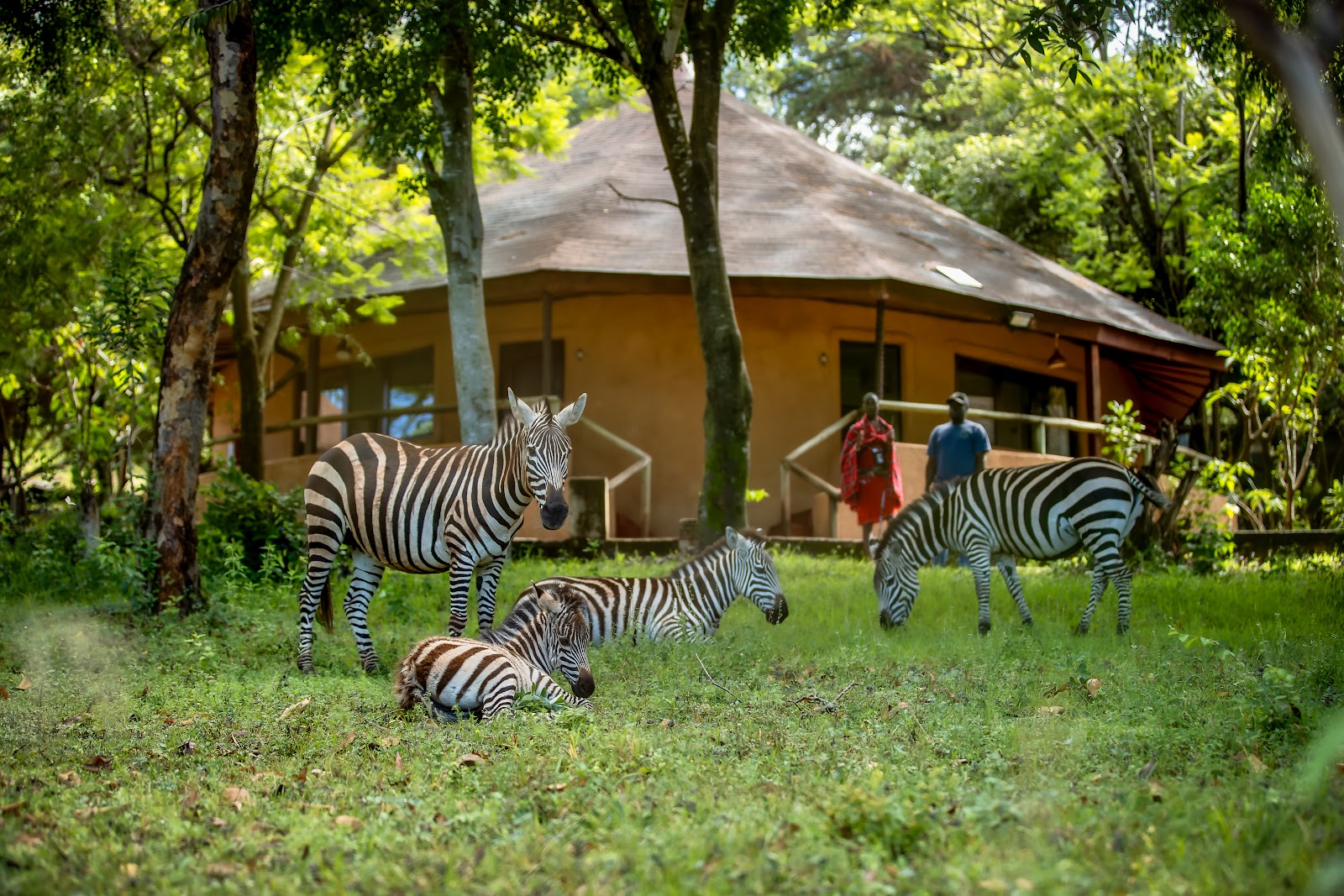 Mara Sopa Lodge